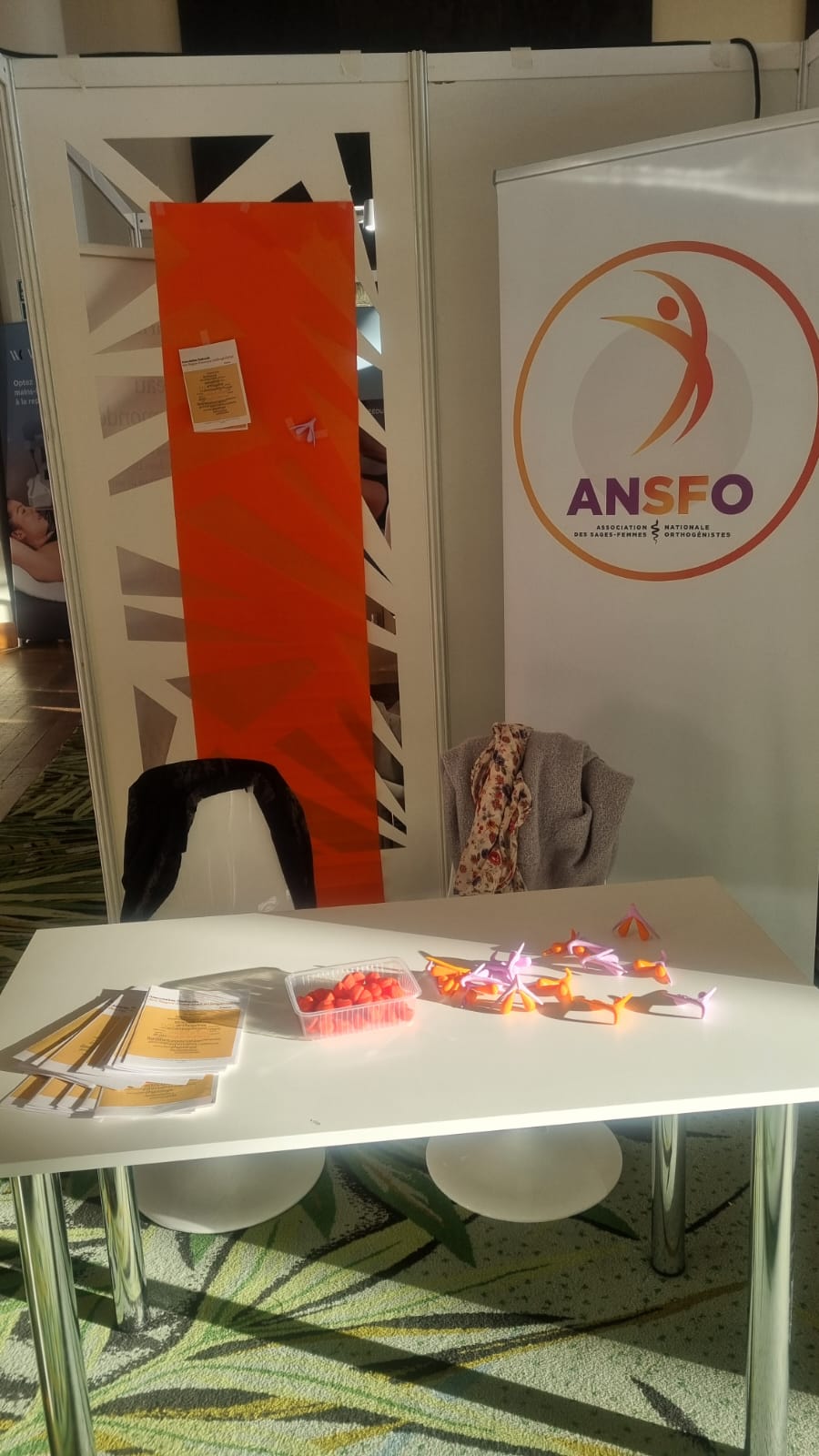 Stand ANSFO au Palais Beaumont de Pau 2025